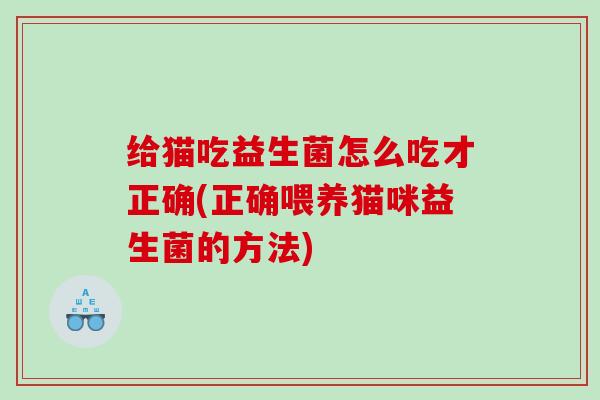 给猫吃益生菌怎么吃才正确(正确喂养猫咪益生菌的方法)