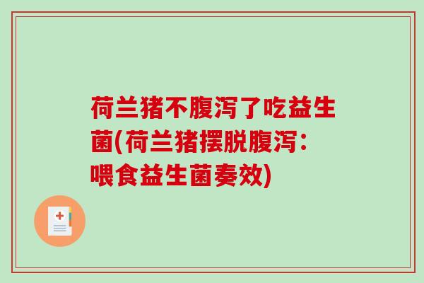荷兰猪不腹泻了吃益生菌(荷兰猪摆脱腹泻：喂食益生菌奏效)