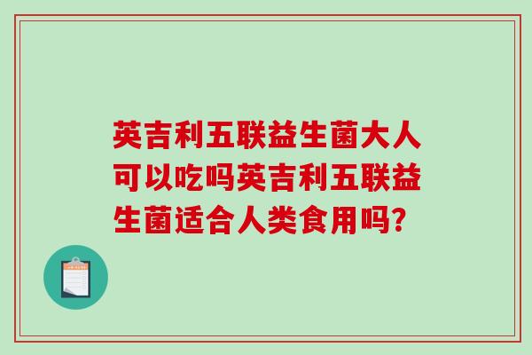英吉利五联益生菌大人可以吃吗英吉利五联益生菌适合人类食用吗？