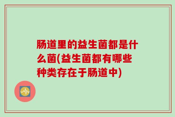 肠道里的益生菌都是什么菌(益生菌都有哪些种类存在于肠道中)
