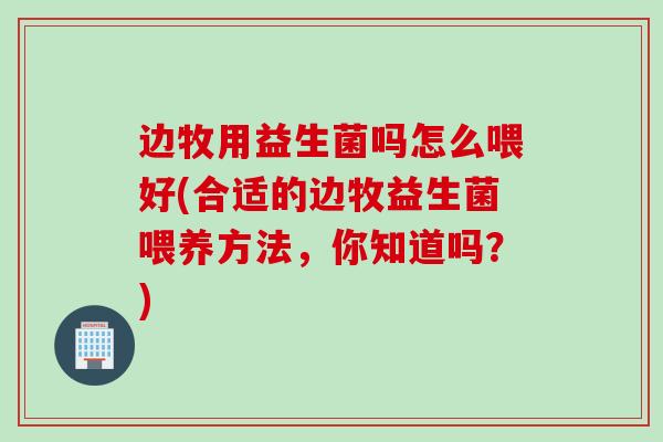 边牧用益生菌吗怎么喂好(合适的边牧益生菌喂养方法，你知道吗？)