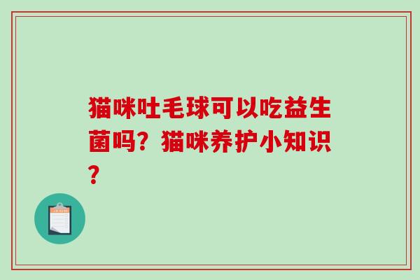 猫咪吐毛球可以吃益生菌吗？猫咪养护小知识？