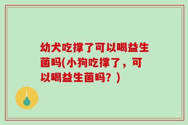 幼犬吃撑了可以喝益生菌吗(小狗吃撑了，可以喝益生菌吗？)