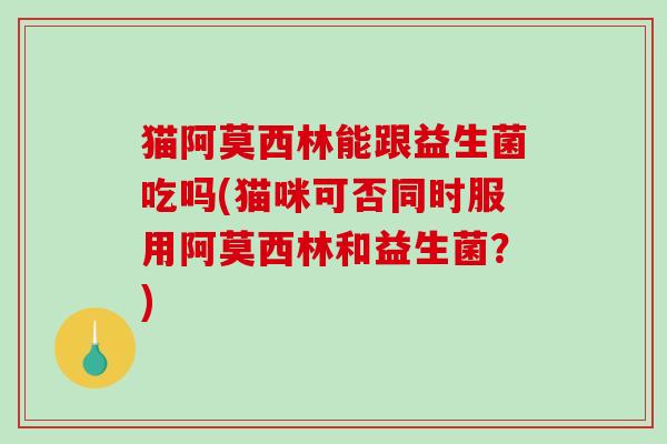 猫阿莫西林能跟益生菌吃吗(猫咪可否同时服用阿莫西林和益生菌?) 猫阿莫西林能跟益生菌吃吗(猫咪可否同时服用阿莫西林和益生菌?)