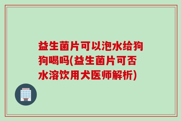 益生菌片可以泡水给狗狗喝吗(益生菌片可否水溶饮用犬医师解析)