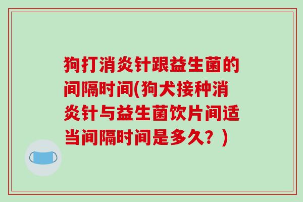 狗打消炎针跟益生菌的间隔时间(狗犬接种消炎针与益生菌饮片间适当间隔时间是多久？)