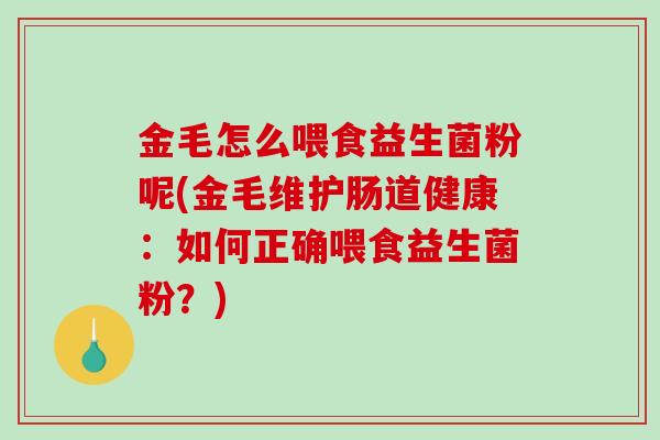 金毛怎么喂食益生菌粉呢(金毛维护肠道健康：如何正确喂食益生菌粉？)