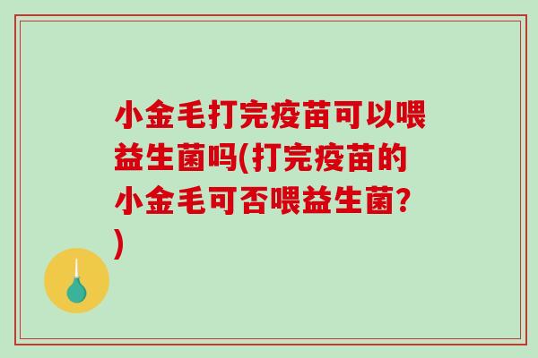 小金毛打完疫苗可以喂益生菌吗(打完疫苗的小金毛可否喂益生菌？)