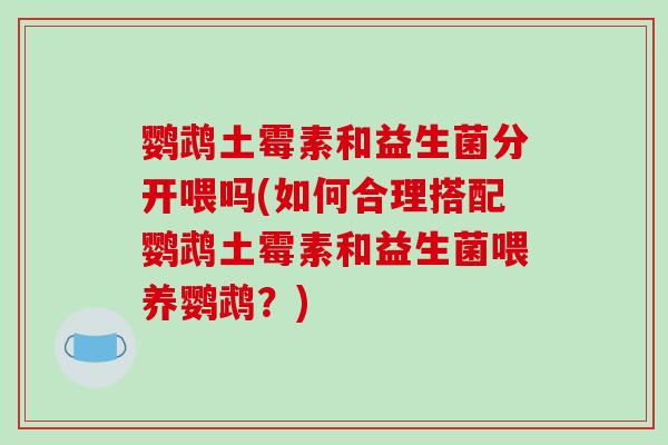 鹦鹉土霉素和益生菌分开喂吗(如何合理搭配鹦鹉土霉素和益生菌喂养鹦鹉？)