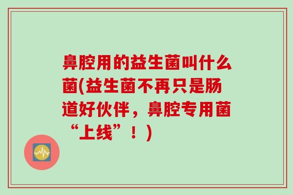 鼻腔用的益生菌叫什么菌(益生菌不再只是肠道好伙伴，鼻腔专用菌“上线”！)