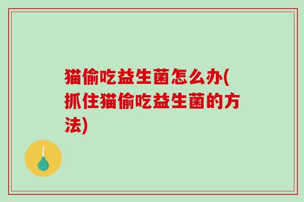 猫偷吃益生菌怎么办(抓住猫偷吃益生菌的方法)