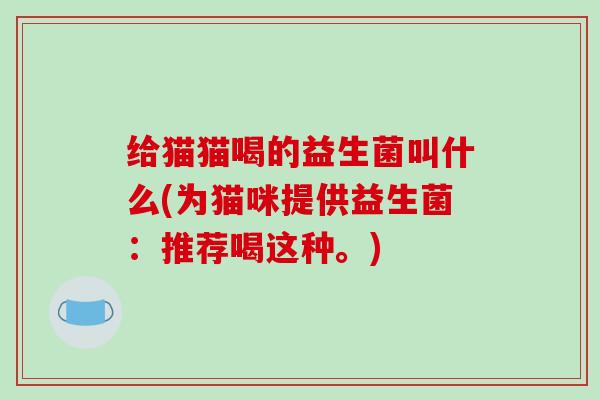 给猫猫喝的益生菌叫什么(为猫咪提供益生菌：推荐喝这种。)