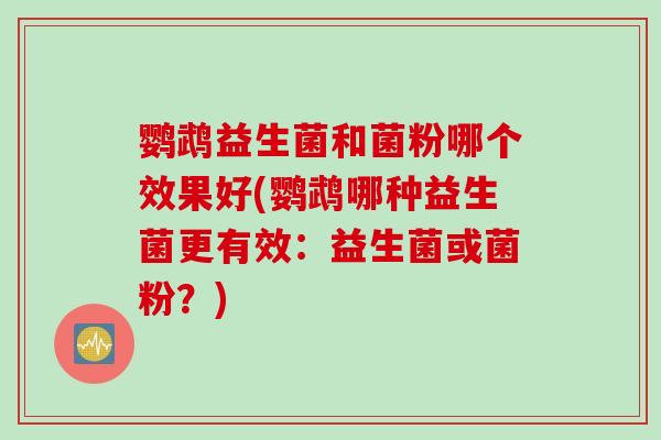 鹦鹉益生菌和菌粉哪个效果好(鹦鹉哪种益生菌更有效：益生菌或菌粉？)