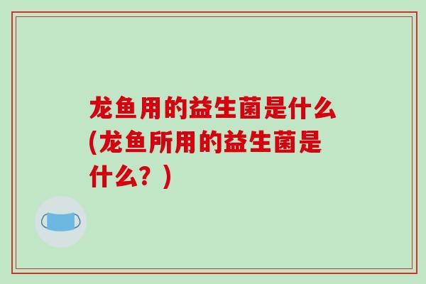 龙鱼用的益生菌是什么(龙鱼所用的益生菌是什么？)