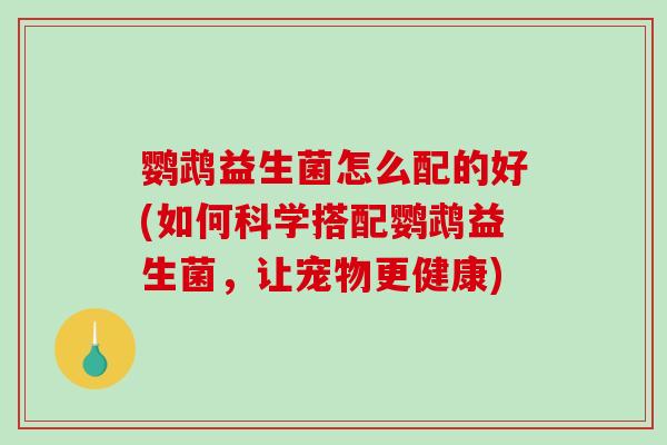 鹦鹉益生菌怎么配的好(如何科学搭配鹦鹉益生菌，让宠物更健康)