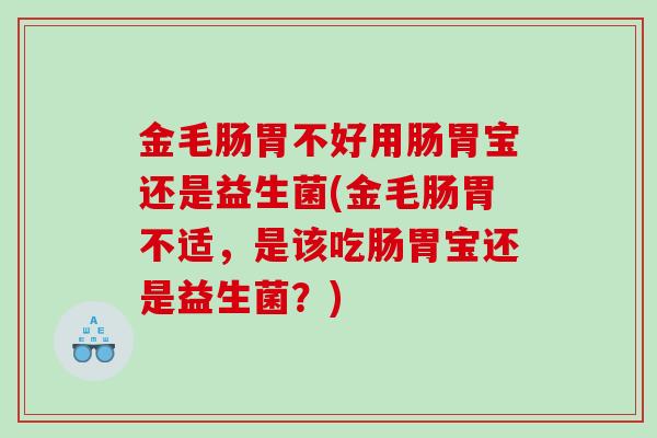 金毛肠胃不好用肠胃宝还是益生菌(金毛肠胃不适，是该吃肠胃宝还是益生菌？)