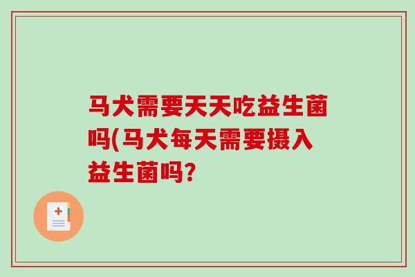 马犬需要天天吃益生菌吗(马犬每天需要摄入益生菌吗？