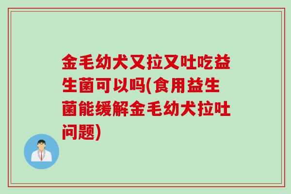 金毛幼犬又拉又吐吃益生菌可以吗(食用益生菌能缓解金毛幼犬拉吐问题)