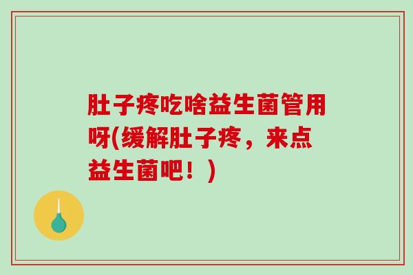 肚子疼吃啥益生菌管用呀(缓解肚子疼，来点益生菌吧！)