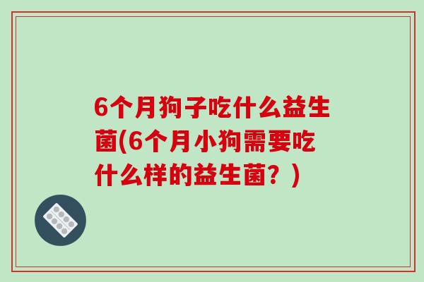6个月狗子吃什么益生菌(6个月小狗需要吃什么样的益生菌？)