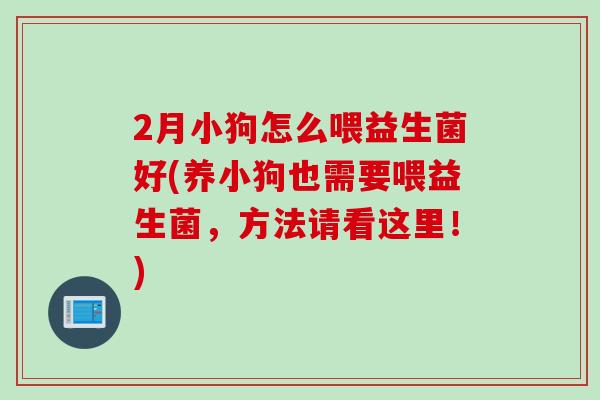 2月小狗怎么喂益生菌好(养小狗也需要喂益生菌，方法请看这里！)