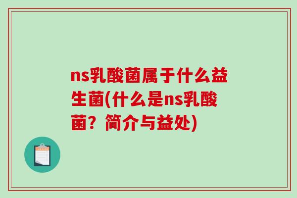 ns乳酸菌属于什么益生菌(什么是ns乳酸菌？简介与益处)