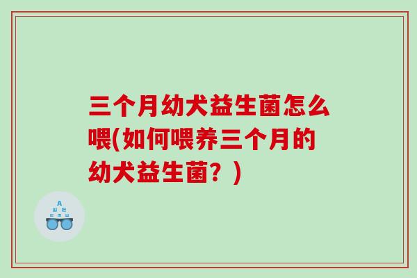 三个月幼犬益生菌怎么喂(如何喂养三个月的幼犬益生菌？)