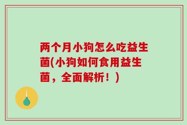两个月小狗怎么吃益生菌(小狗如何食用益生菌，全面解析！)