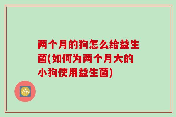 两个月的狗怎么给益生菌(如何为两个月大的小狗使用益生菌)