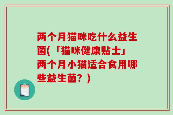 两个月猫咪吃什么益生菌(「猫咪健康贴士」两个月小猫适合食用哪些益生菌？)