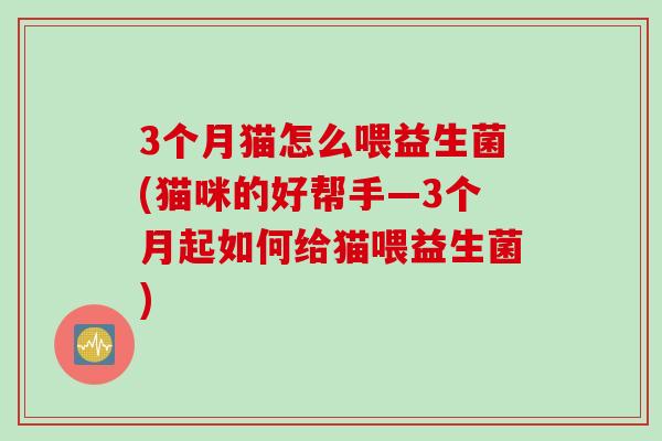 3个月猫怎么喂益生菌(猫咪的好帮手—3个月起如何给猫喂益生菌)
