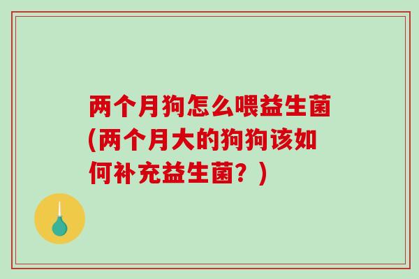 两个月狗怎么喂益生菌(两个月大的狗狗该如何补充益生菌？)