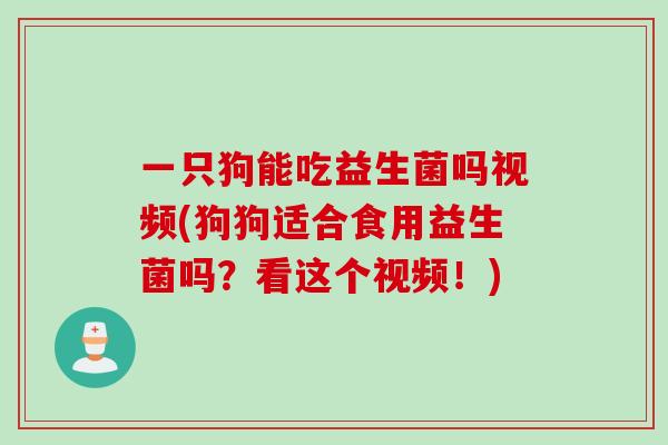 一只狗能吃益生菌吗视频(狗狗适合食用益生菌吗？看这个视频！)