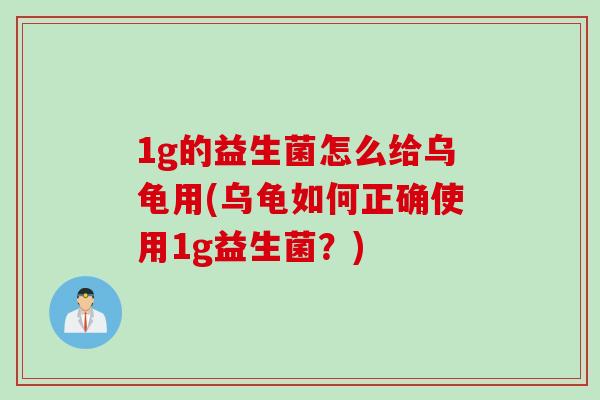 1g的益生菌怎么给乌龟用(乌龟如何正确使用1g益生菌？)