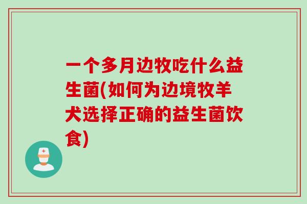 一个多月边牧吃什么益生菌(如何为边境牧羊犬选择正确的益生菌饮食)