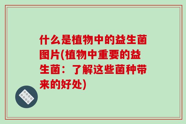 什么是植物中的益生菌图片(植物中重要的益生菌：了解这些菌种带来的好处)