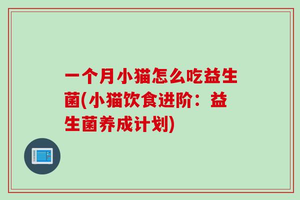 一个月小猫怎么吃益生菌(小猫饮食进阶：益生菌养成计划)