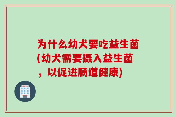 为什么幼犬要吃益生菌(幼犬需要摄入益生菌,以促进肠道健康) 为什么幼犬要吃益生菌(幼犬需要摄入益生菌,以促进肠道健康)