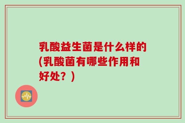乳酸益生菌是什么样的(乳酸菌有哪些作用和好处？)