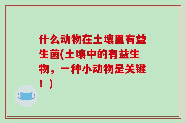 什么动物在土壤里有益生菌(土壤中的有益生物，一种小动物是关键！)