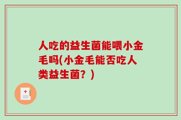 人吃的益生菌能喂小金毛吗(小金毛能否吃人类益生菌？)