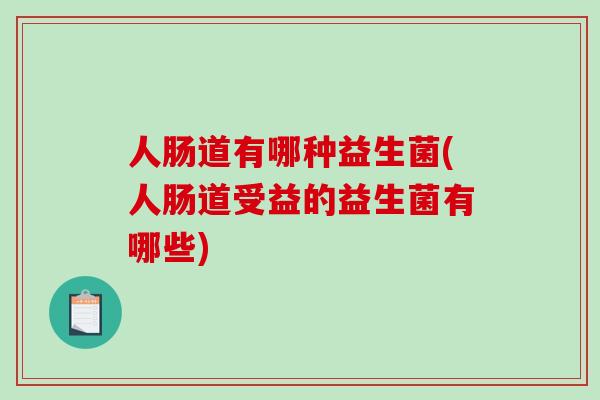 人肠道有哪种益生菌(人肠道受益的益生菌有哪些)