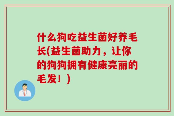 什么狗吃益生菌好养毛长(益生菌助力，让你的狗狗拥有健康亮丽的毛发！)