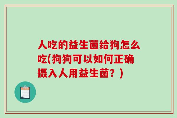 人吃的益生菌给狗怎么吃(狗狗可以如何正确摄入人用益生菌？)