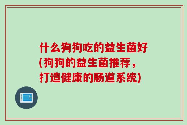 什么狗狗吃的益生菌好(狗狗的益生菌推荐，打造健康的肠道系统)