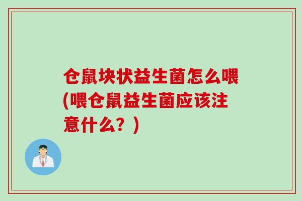 仓鼠块状益生菌怎么喂(喂仓鼠益生菌应该注意什么？)