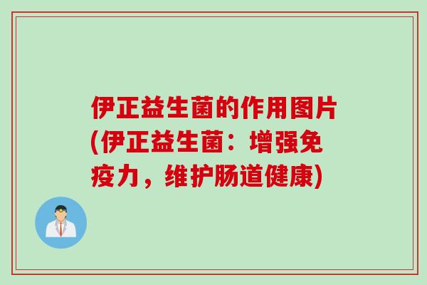 伊正益生菌的作用图片(伊正益生菌：增强免疫力，维护肠道健康)