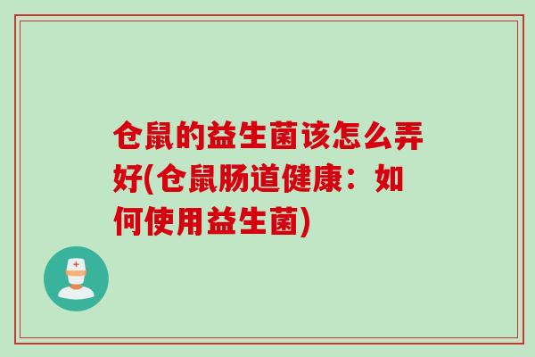 仓鼠的益生菌该怎么弄好(仓鼠肠道健康：如何使用益生菌)