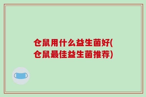 仓鼠用什么益生菌好(仓鼠最佳益生菌推荐)