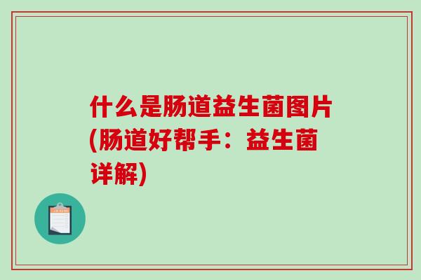 什么是肠道益生菌图片(肠道好帮手：益生菌详解)